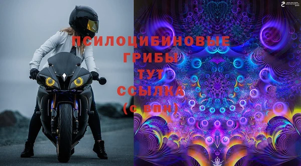 шишки Вяземский