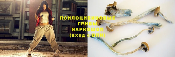 мяу мяу мука Вязьма
