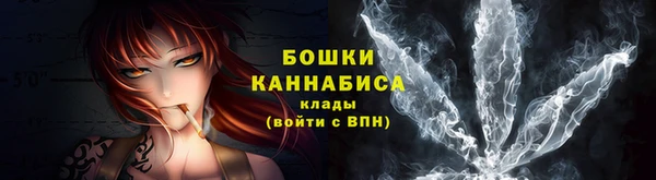 твердый Володарск