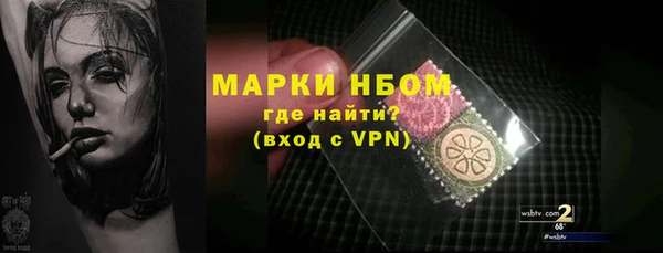 твердый Володарск