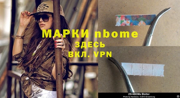 крисы Вязники