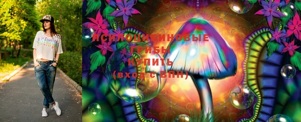 крисы Вязники