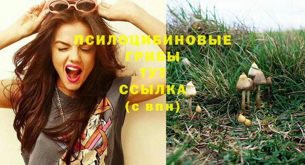 мяу мяу мука Вязьма