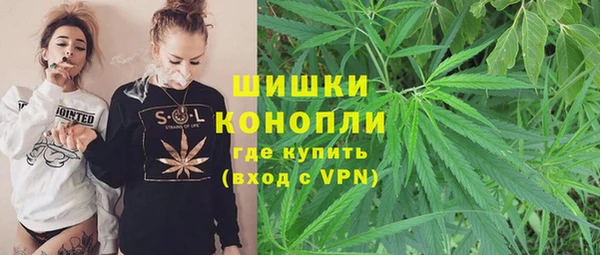 мяу мяу мука Вязьма