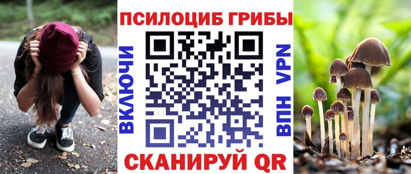 Купить  Миньяр  Галлюциногенные грибы Psilocybine cubensis 